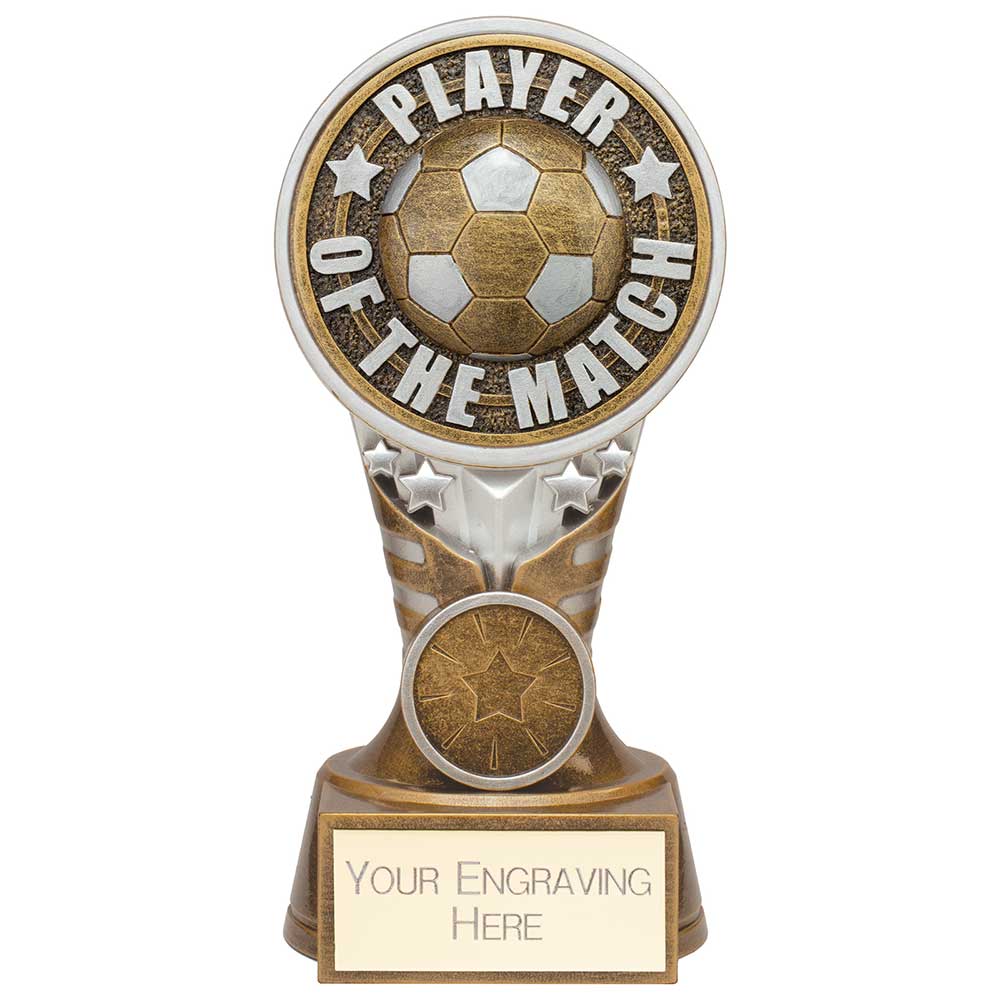 PA24146B.jpg Ikon Tower Player of the Match Award Antique Silver & Gold - Image 1