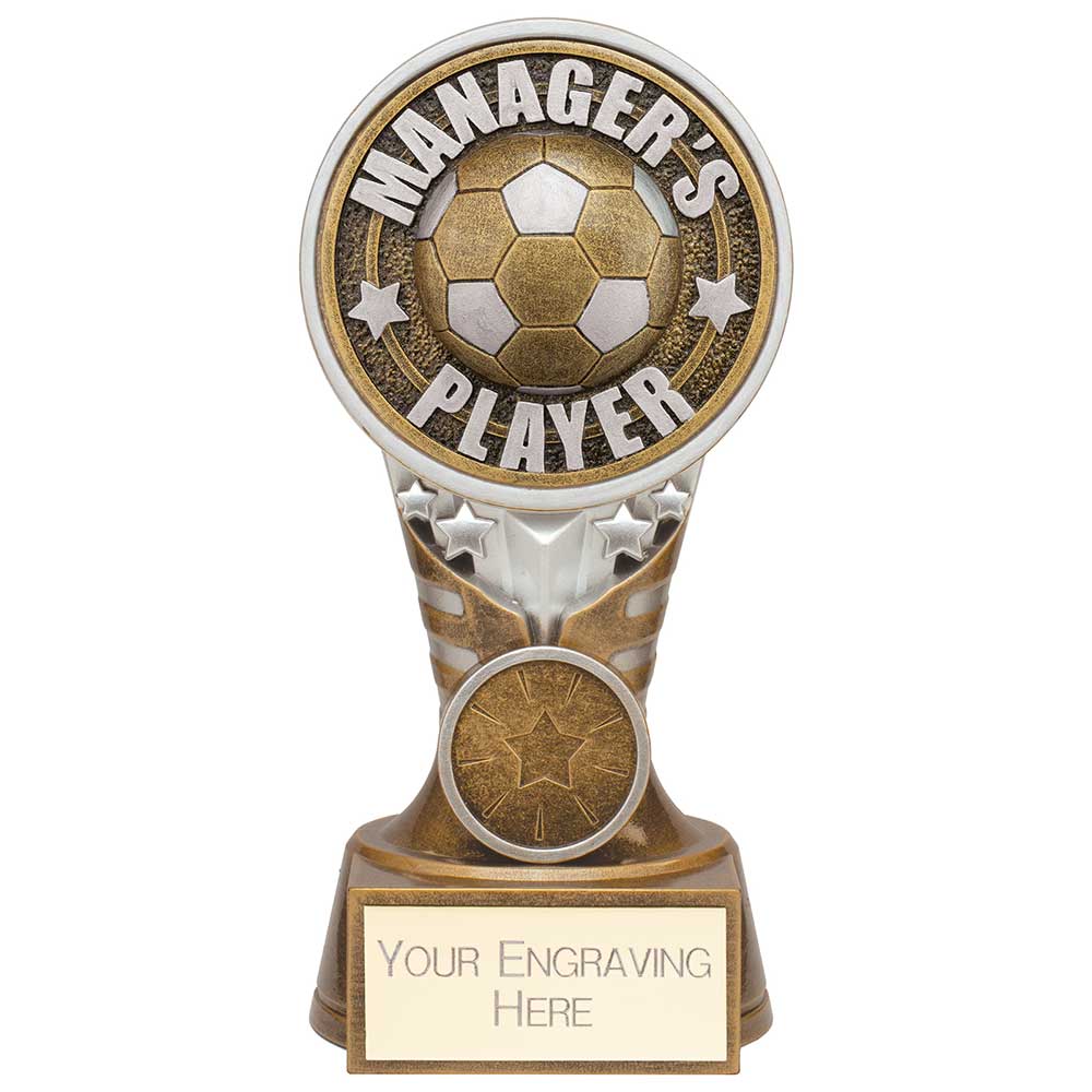 PA24152B.jpg Ikon Tower Managers Player Award Antique Silver & Gold - Image 1