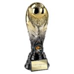 The Winning Goal Football Heavyweight Gold & Carbon Black
