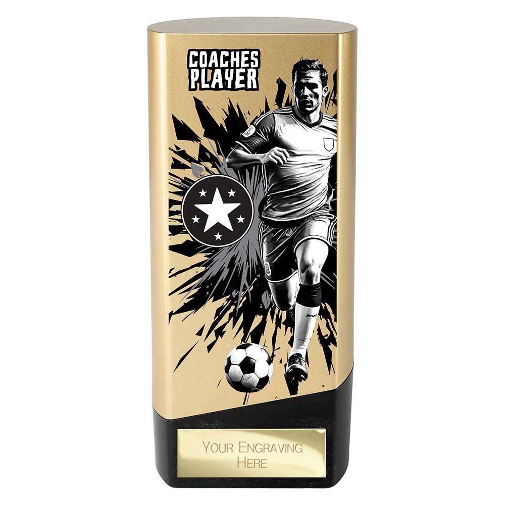 PA26139A.jpg Prime Heavyweight Coaches Player Gold & Black - Image 1