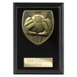 Cobra Plaque Football Goal Keeper Award Epic Black