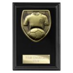 Cobra Plaque Football Shirt & Ball Award Epic Black