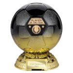 Elite Heavyweight Player of Year Award Carbon Black to Gold