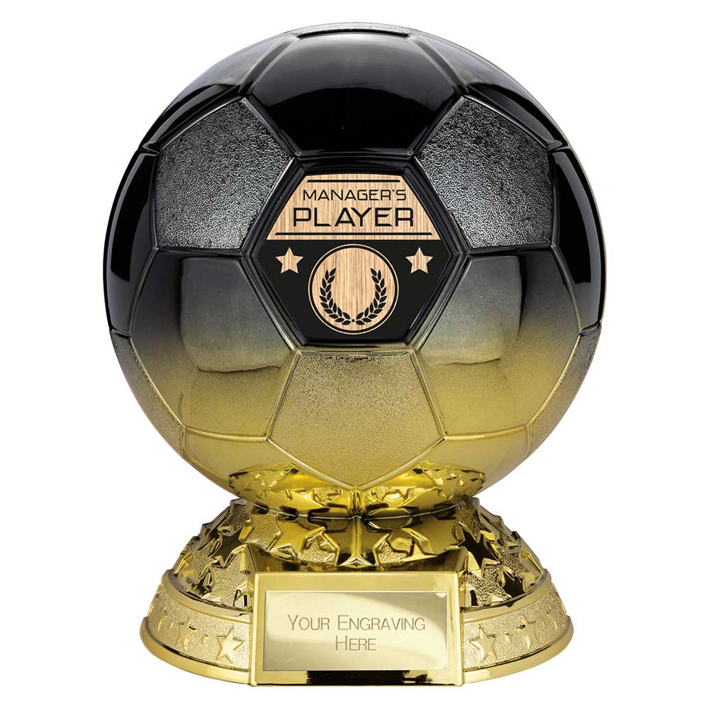 PM25404C.jpg Elite Heavyweight Managers Player Award Carbon Black to Gold - Image 1