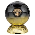 Elite Heavyweight Thank you Coach Award Carbon Black to Gold