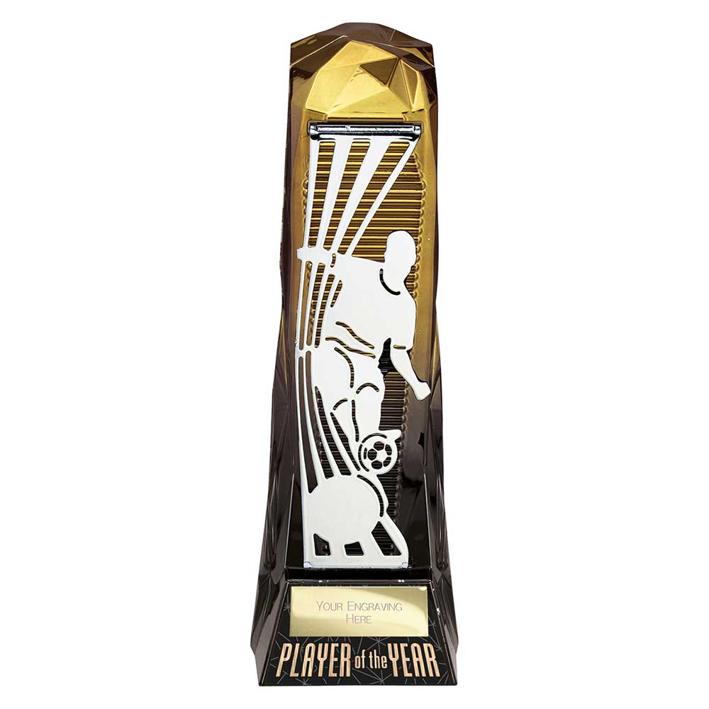 PQ23125A.jpg Shard Football Male Player of Year Gold & Carbon Black 230mm - Image 1