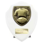 Cobra Shield Football Shirt & Ball Award Arctic White