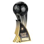 Firestorm Heavyweight Player of Year Carbon Black to Gold