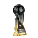 Firestorm Heavyweight Trainer of Week Carbon Black to Gold