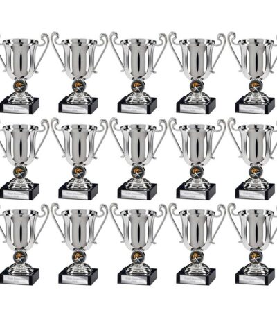 Champions Silver Plastic Cup Trophy