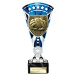 Cobra Star Cup Football Goal Keeper Silver & Blue