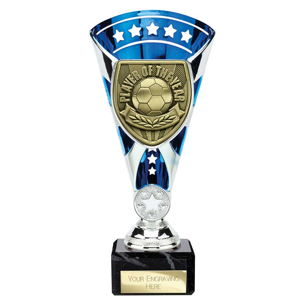 TB25111A.jpg Cobra Star Cup Player of Year Silver & Blue - Image 1