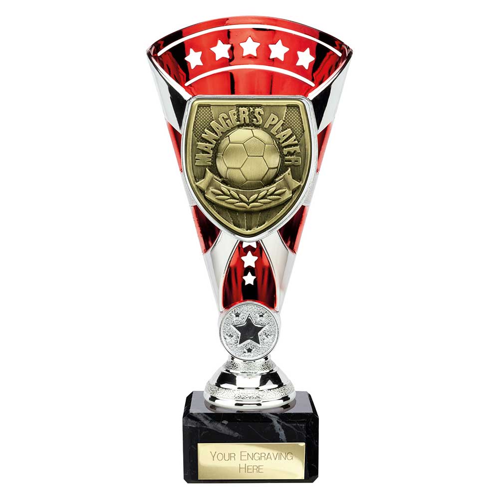 TD25109A.jpg Cobra Star Cup Managers Player Silver & Red - Image 1
