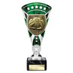Cobra Star Cup Football Goal Keeper Silver & Green