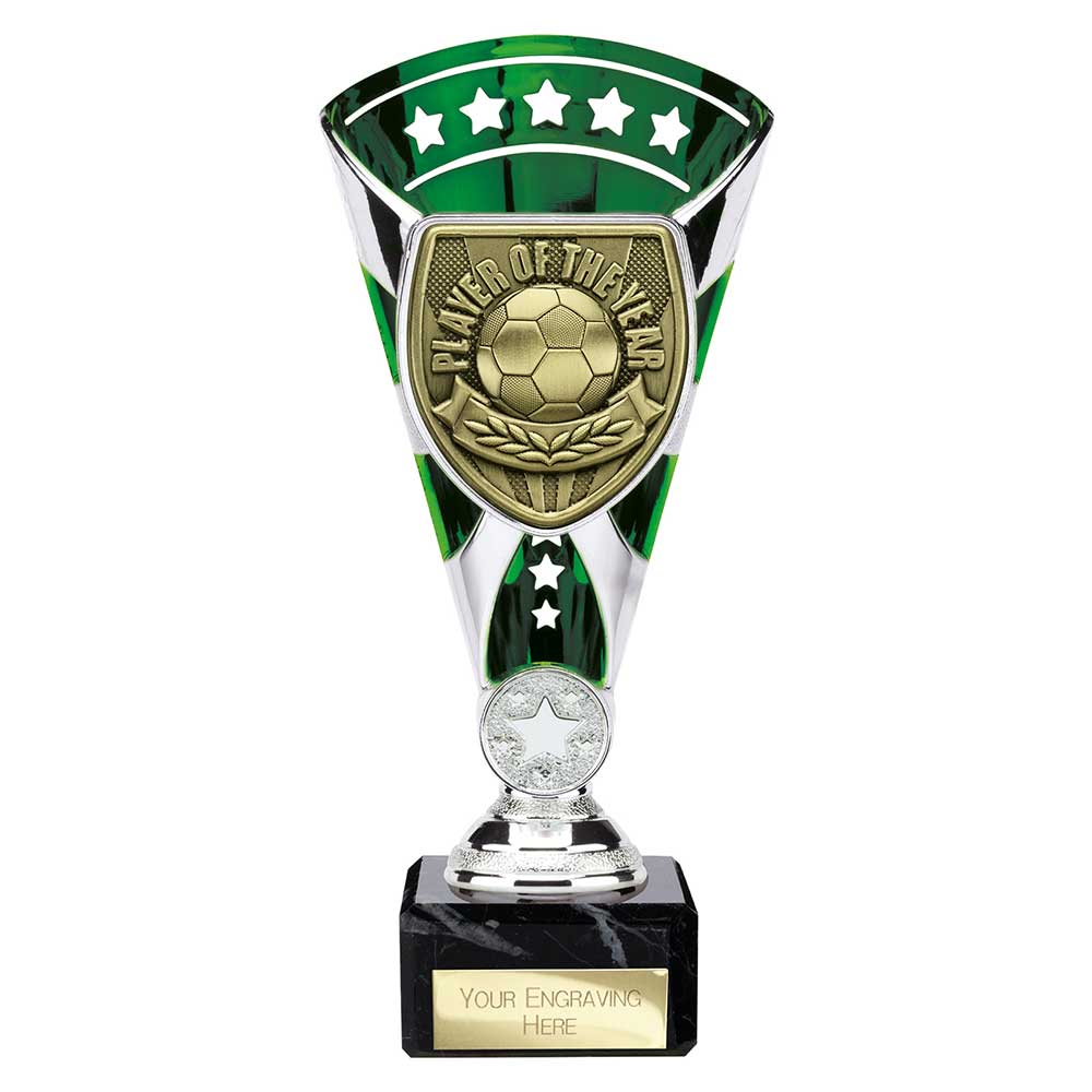 TE25111A.jpg Cobra Star Cup Player of Year Silver & Green - Image 1