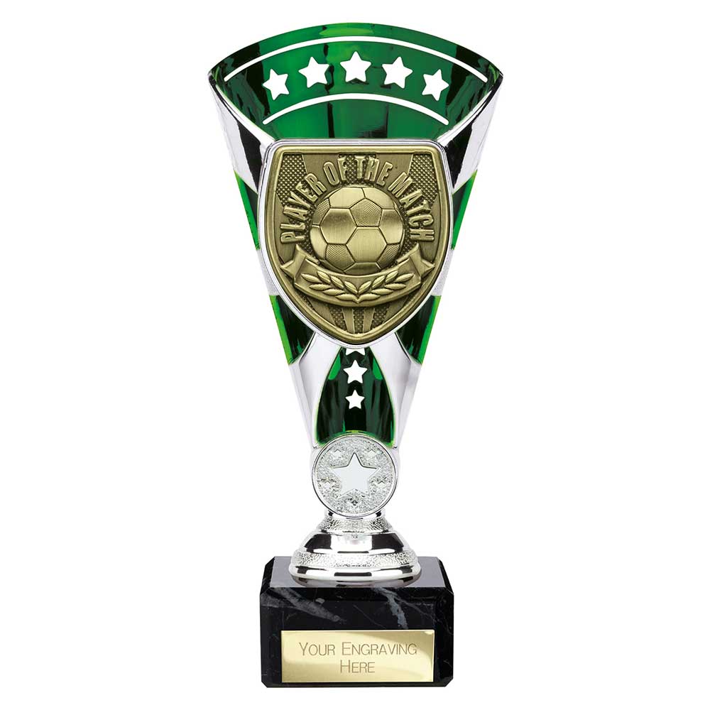 TE25113A.jpg Cobra Star Cup Player of Match Silver & Green - Image 1