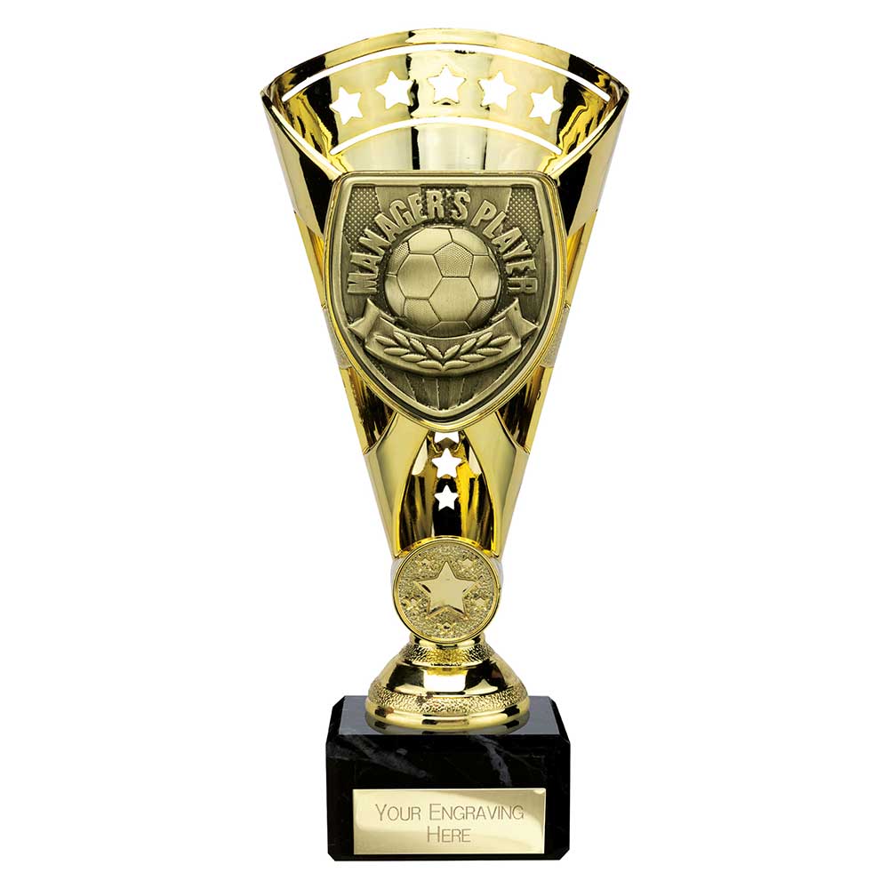 TG25109A.jpg Cobra Star Cup Managers Player Gold - Image 1