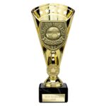 Cobra Star Cup Player of Match Gold