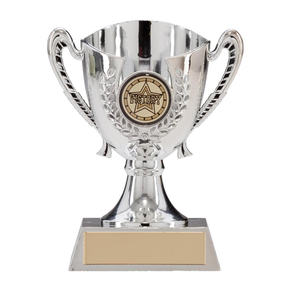 TR17305A.jpg Serenity Plastic Silver Cup Silver 120mm - Image 1