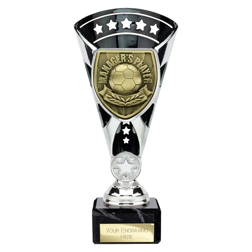 TR25109A.jpg Cobra Star Cup Managers Player Silver & Black - Image 1