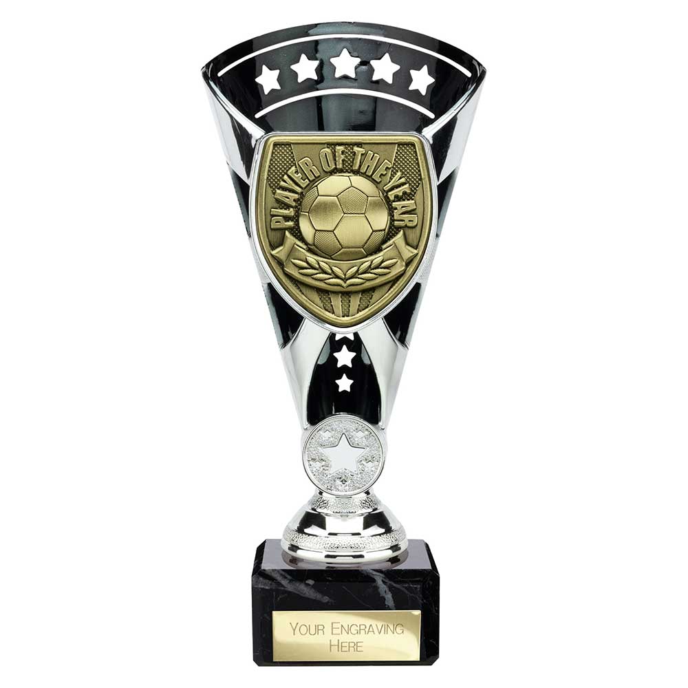 TR25111A.jpg Cobra Star Cup Player of Year Silver & Black - Image 1