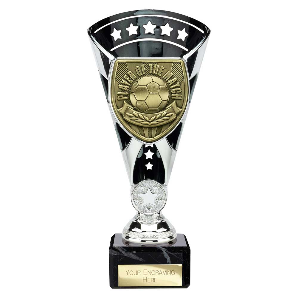 TR25113A.jpg Cobra Star Cup Player of Match Silver & Black - Image 1