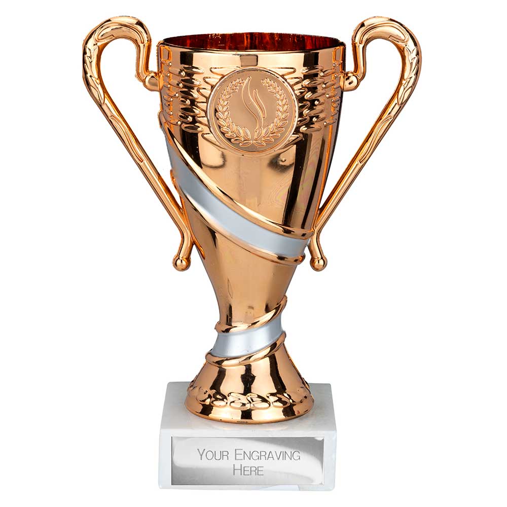 TR25318A.jpg Attrition Trophy Bronze and Silver 145mm - Image 1