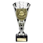 Cobra Star Cup Player of Year Silver