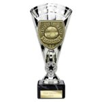 Cobra Star Cup Player of Match Silver