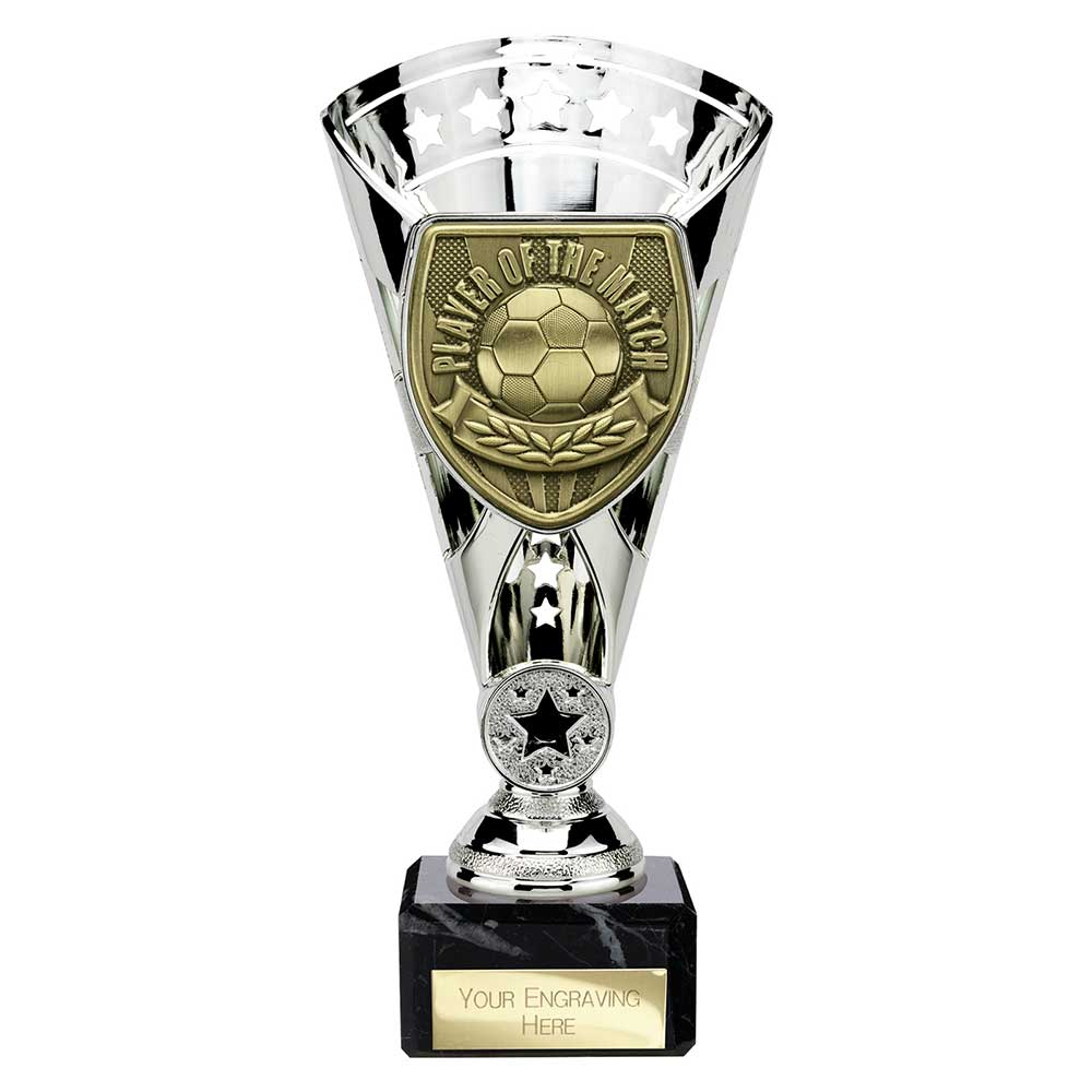TS25113A.jpg Cobra Star Cup Player of Match Silver - Image 1