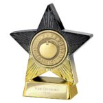 Superstar Head Teacher Award