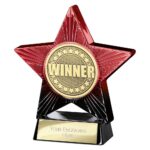 Superstar Winner Award