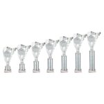 Frenzy Multisport Tube Trophy Silver