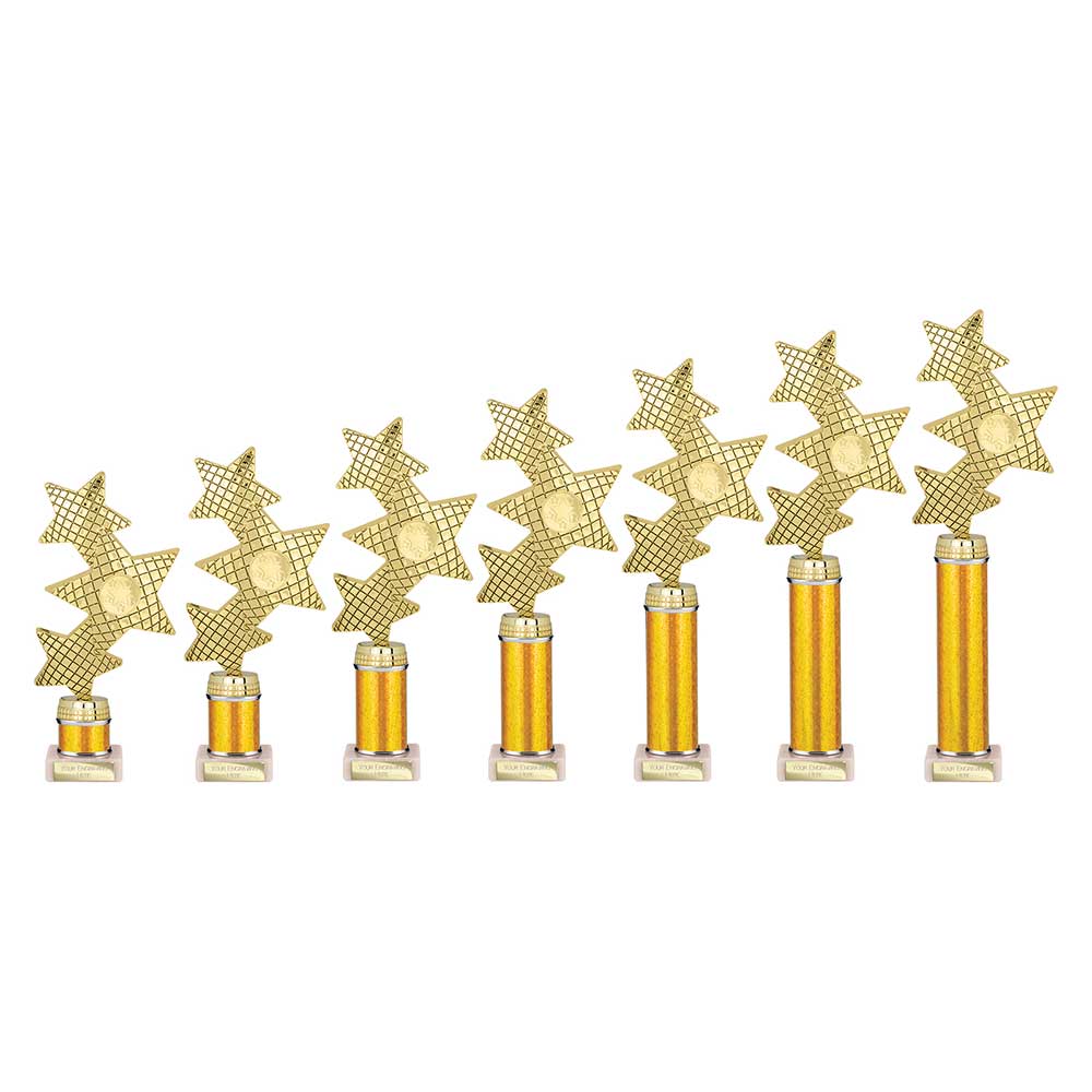 TR25597.jpg Trinity Star Multisport Tube Trophy - Image 1