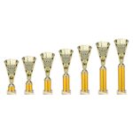 Cobra Star Multisport Tube Trophy Gold