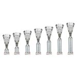 Cobra Star Multisport Tube Trophy Silver