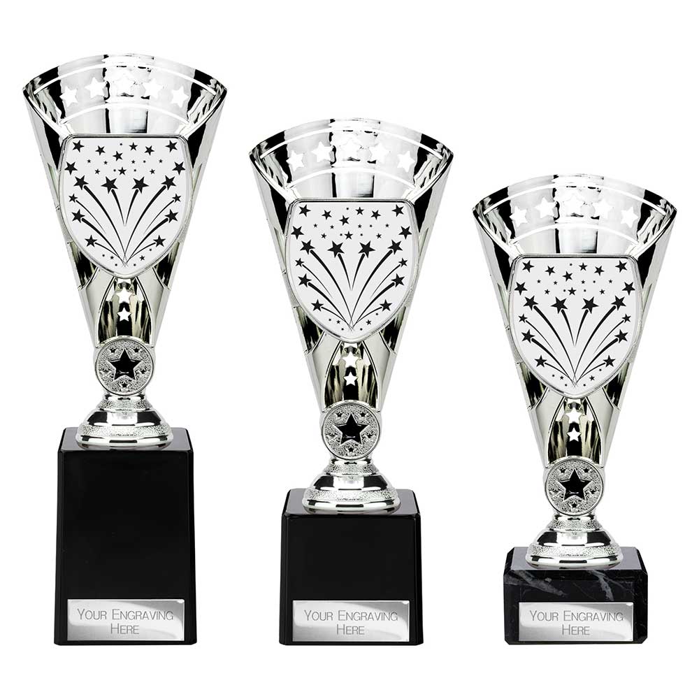 TR25662.jpg Cobra Star Multisport Cup Silver - Image 1